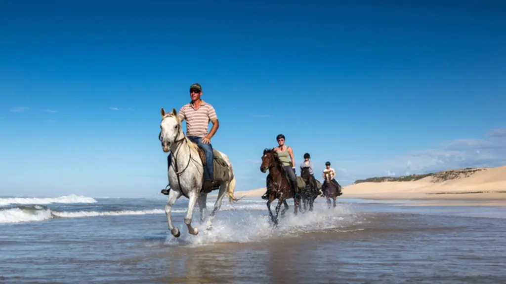 agadir-taghazout-2-hours-sunset-beach-horseback-ride_4laXh.webp
