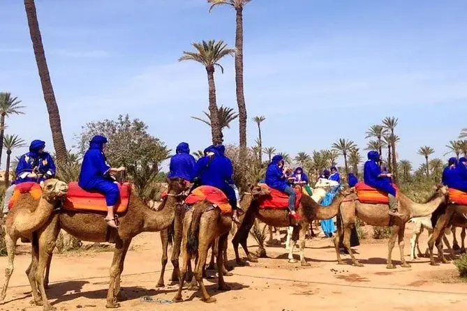 camel-ride-marrakech.webp