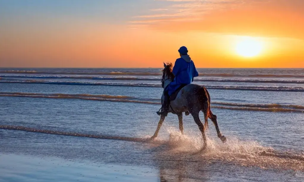 Balade à cheval à Agadir