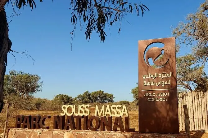 Nationalpark Souss-Massa & Entdeckung der Sahara-Wildtiere