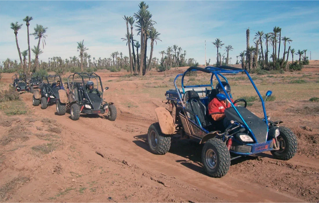 Buggy in the Palm Grove of Marrakesh